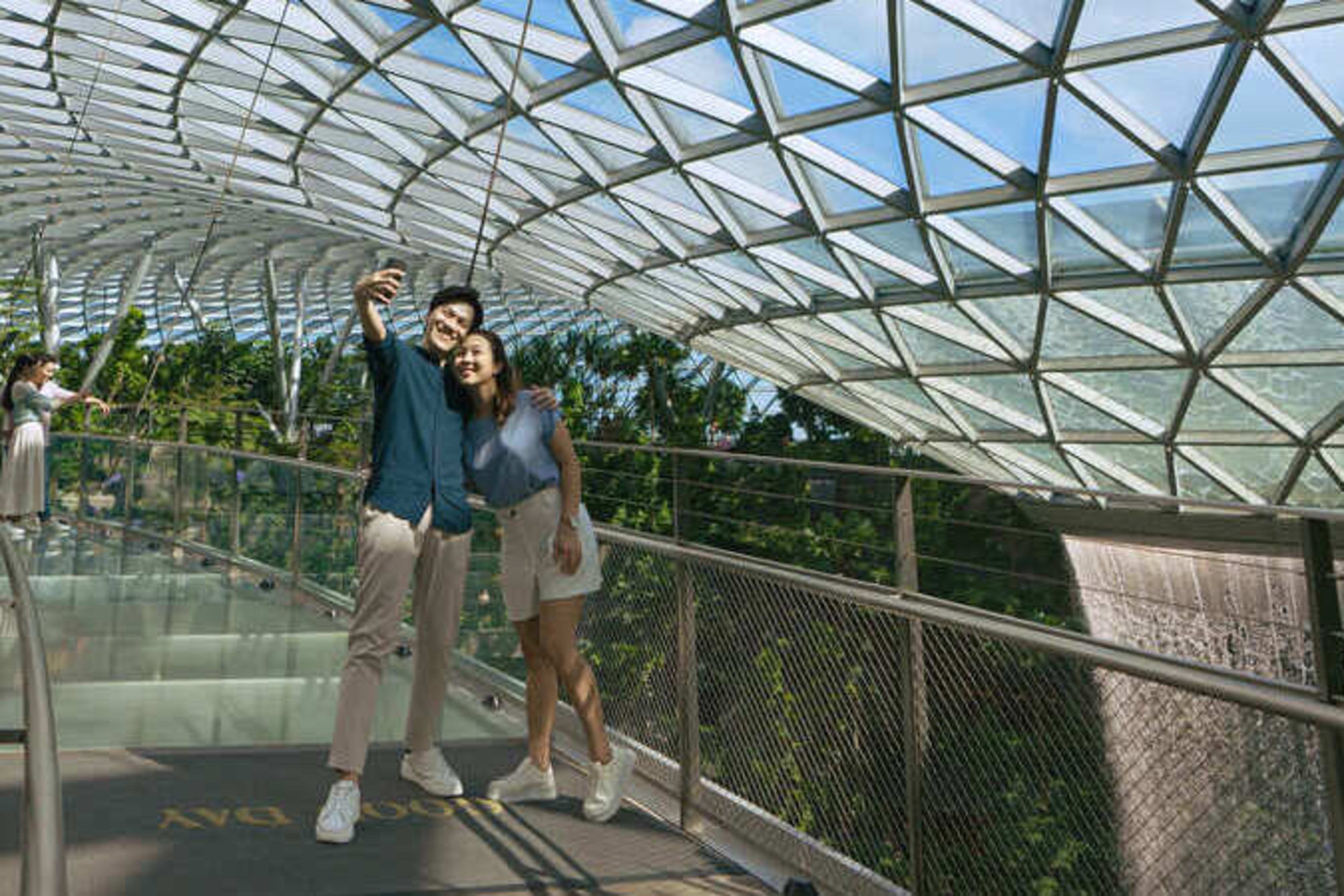 ジュエル・チャンギ空港キャノピーパーク | Go City®